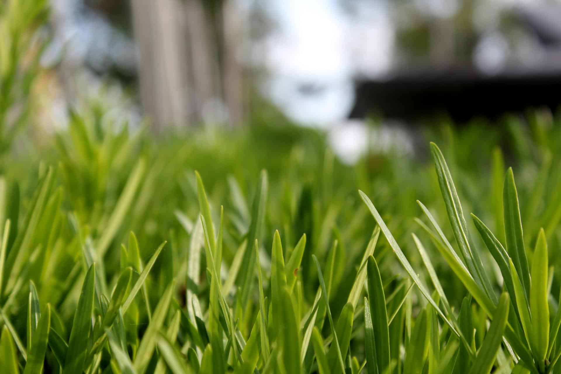 Add Artificial Turf