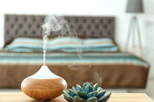 How to Choose Between a Warm and Cool Mist Humidifier