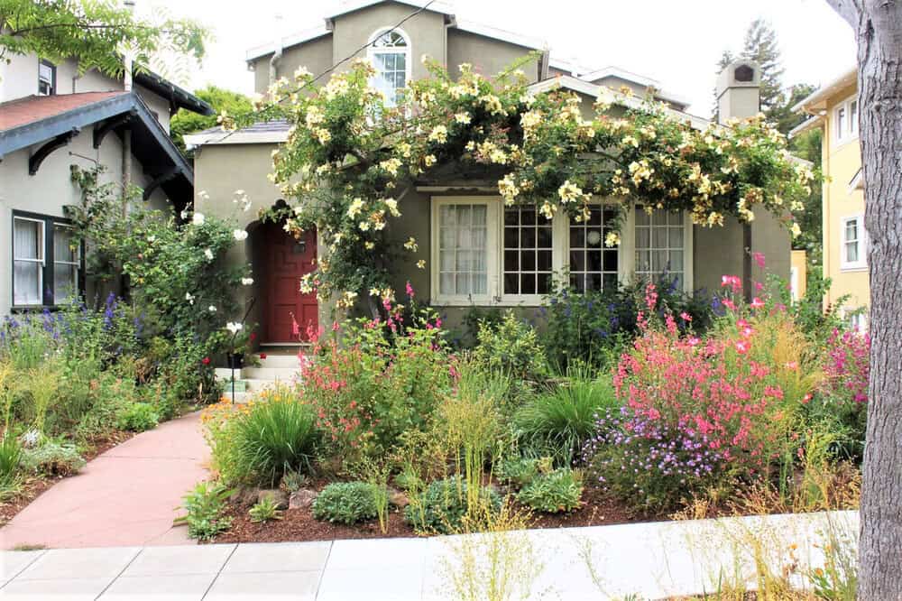 Introduce a Native Plant Garden